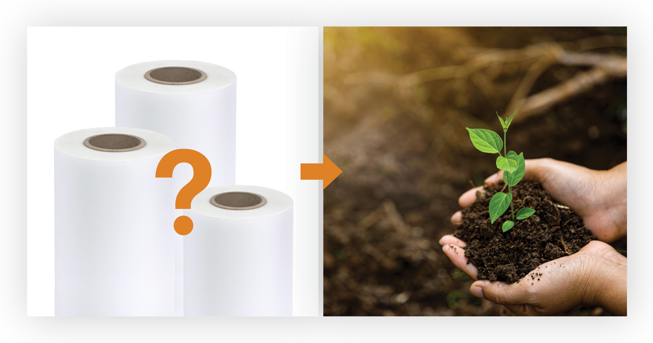 What Makes a Film Compostable? Nobelus University